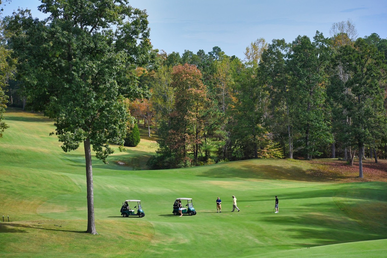 Golfers with carts on a green fairway during a private golf trip experience