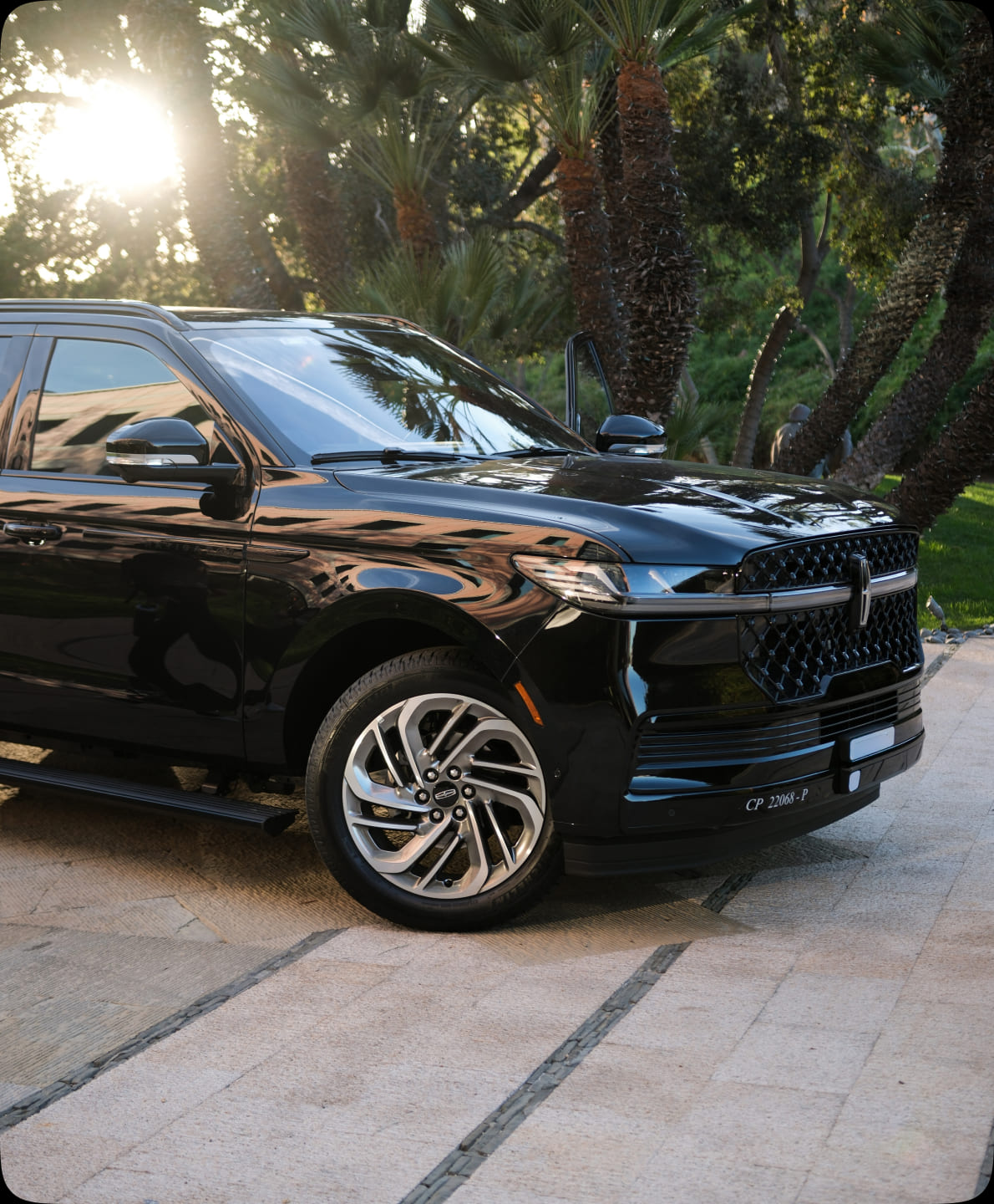 A black SUV parked under palm trees in golden-hour light.